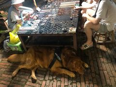 -西双版纳傣族园