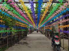 -亲兄弟真人CS团建拓展基地