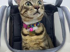 -拜鲁耶动物诊疗中心·宠家动物医院