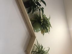 -小牛锅贴(西环路店)