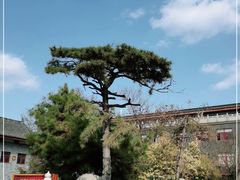 -西安市广仁寺
