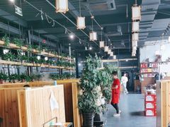 -桃源村铁锅炖鱼(体育馆道店)