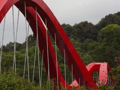 -玉树公园