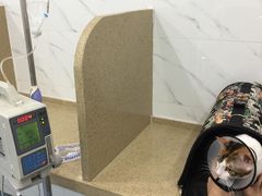 -伟伟宠物医院·CT影像中心·瑞派犬猫综合性门诊(汉口总院)