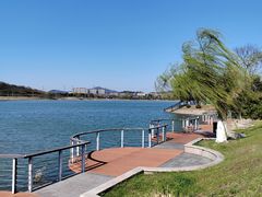 -羊山湖公园