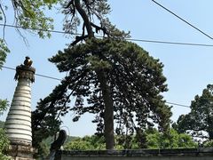 -潭柘寺景区