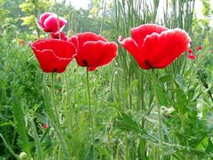 外景-河南省黄河迎宾馆