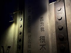 -V-SHOW主题KTV(新城店)