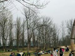 -中国天府农业博览园