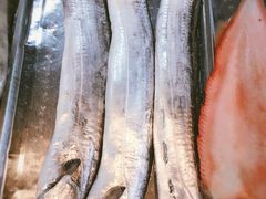 -浩运·海鲜青岛菜·海胆水饺(石老人店)