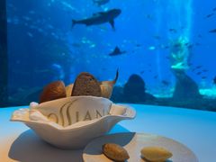 -亚特兰蒂斯•OSSIANO奥西亚诺海底餐厅