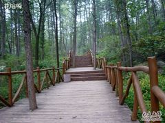 -鲁山国家森林公园