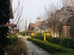 -大连金石滩绿发温泉假日酒店