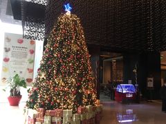 -北京希尔顿逸林酒店