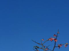 -太平洋咖啡(海滨泳场店)