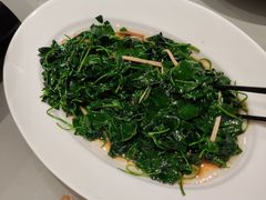 -红城阁·上海味道(四平路店)