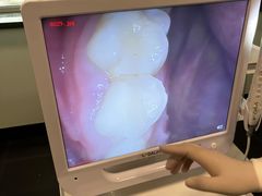 -百合口腔(朝阳门诊部)