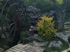 -上海共青森林公园