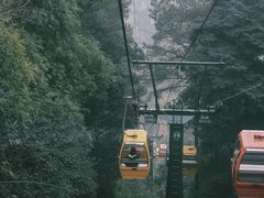 -缙云山景区