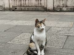 -西园戒幢律寺