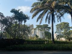 -深圳湾公园(南山区)