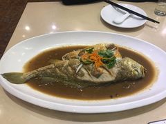 焖黄鱼-黑石礁酒楼·海鲜(黑石礁店)