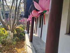 -苏城小院·园林精致苏州菜(斜塘老街店)