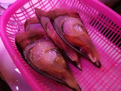 扇贝-细村农贸综合市场