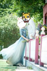 -天长地久婚纱摄影(宝安梦幻影城西乡店)
