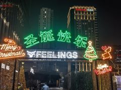 -FEELINGS(亚新广场店)