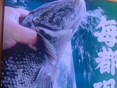 -周渝食惦酸菜鱼(青浦店)