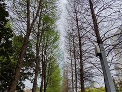 -中国（江苏）自由贸易试验区苏州片区一站式服务中心