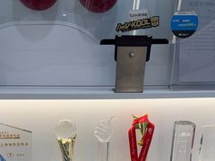 -车艺尚上海龙膜隐形车衣汽车贴膜旗舰店