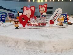 -哈尔滨热雪奇迹