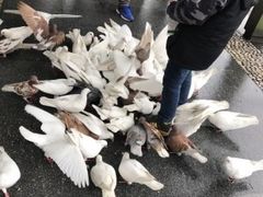 -杭州君悦酒店