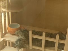 -湛江远扬YOUNG咖啡主题酒店(赤坎老街店)