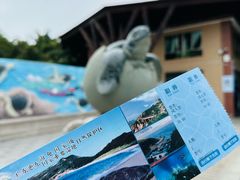 -广东惠东海龟国家级自然保护区