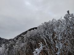 -金子山原生态旅游风景区