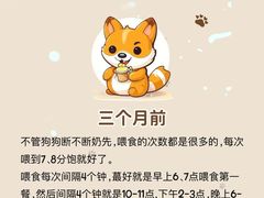 -美联众合动物医院·24h转诊中心