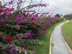 -福建鲤鱼洲酒店