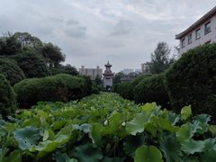 -四川大学(华西校区)