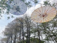 -人民公园(罗湖区)