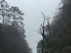 -峨眉山风景名胜区