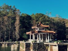 -深圳仙湖植物园