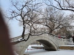 -北陵公园