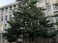 -金谷园饺子馆(北邮总店)