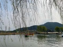 -径山花海