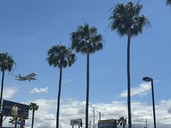 -In-N-Out Burger(LAX)