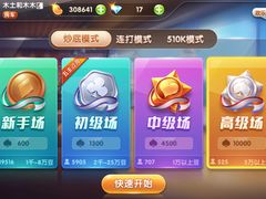 -王胖子驴肉火烧(鼓楼店)