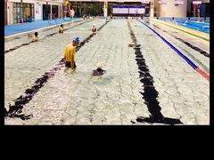 -珠海市体育中心-游泳馆